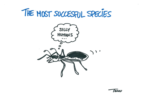 Dessin représentant une fourmi qui pensent "silly humans"